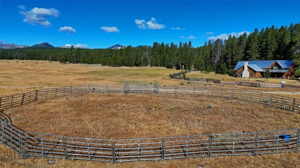 11203 Skinners Meadows Road Jackson MT 59736