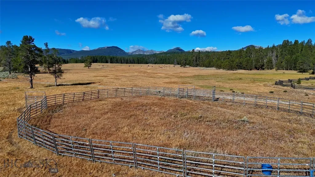 11203 Skinners Meadows Road Jackson MT 59736
