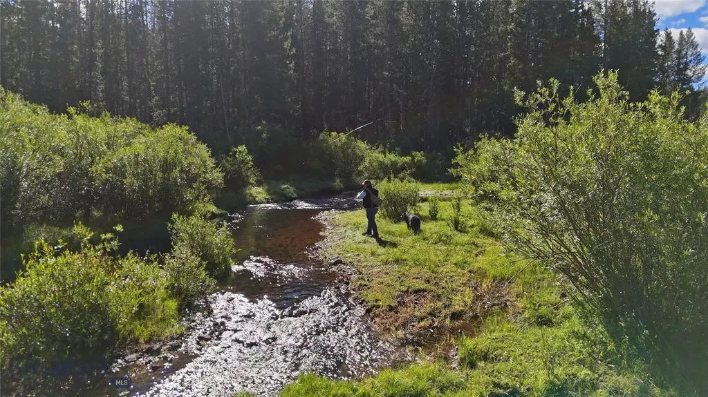 11203 Skinners Meadows Road Jackson MT 59736