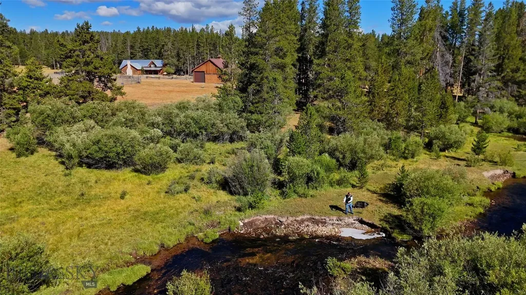 11203 Skinners Meadows Road Jackson MT 59736