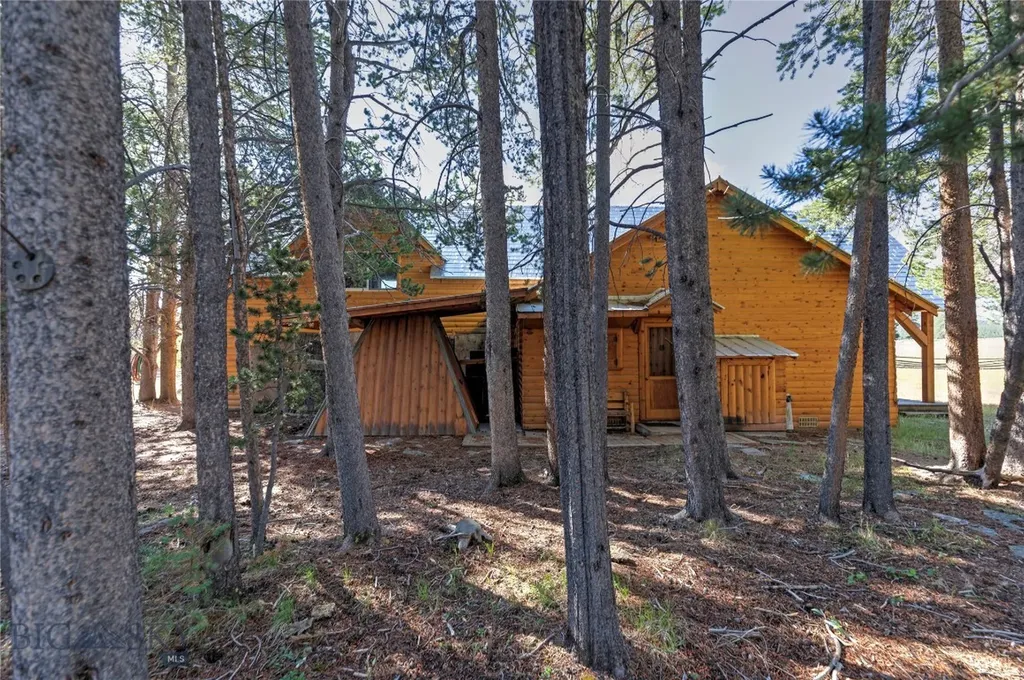 11203 Skinners Meadows Road Jackson MT 59736