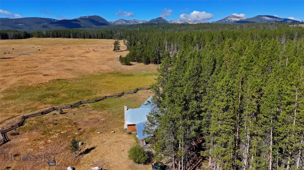 11203 Skinners Meadows Road Jackson MT 59736