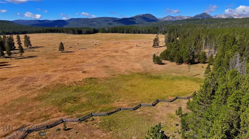 11203 Skinners Meadows Road Jackson MT 59736