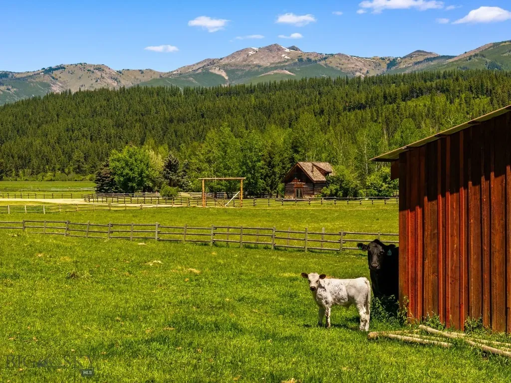 31255 Ninemile Road Huson MT 59846