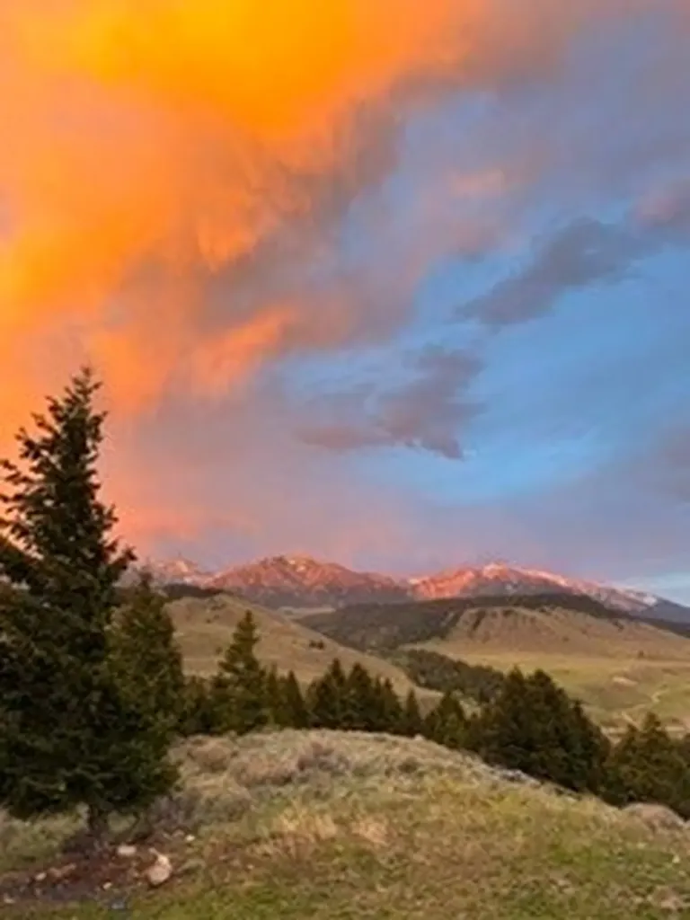 173 S Sun West Road Cameron MT 59720