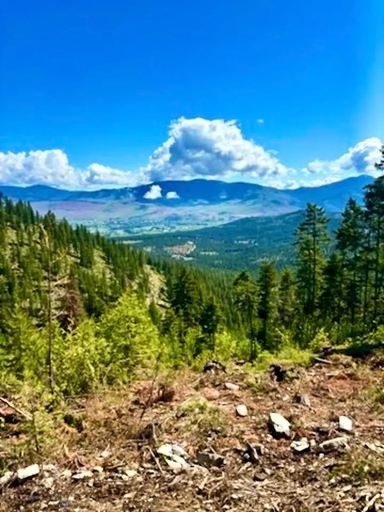 0 W Fork Combest Creek Road Plains MT 59859
