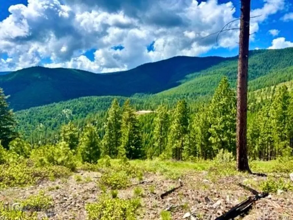 0 W Fork Combest Creek Road Plains MT 59859