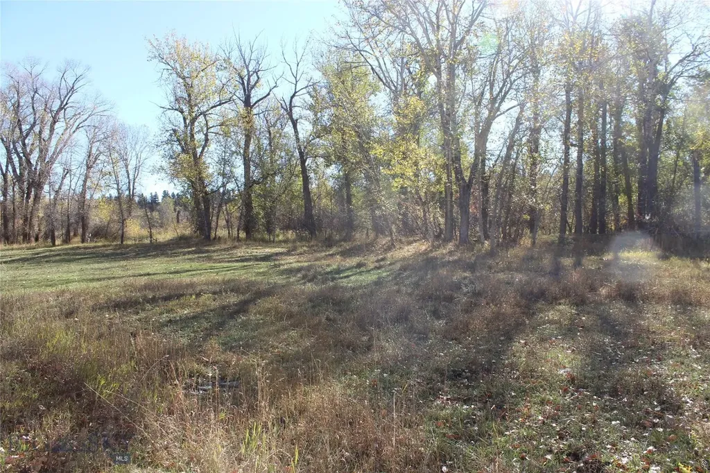 61 Rocky Creek Lane Clyde Park MT 59047