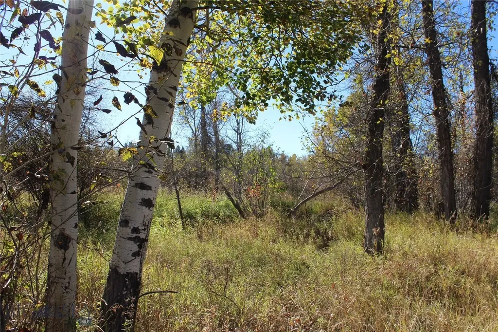 61 Rocky Creek Lane Clyde Park MT 59047