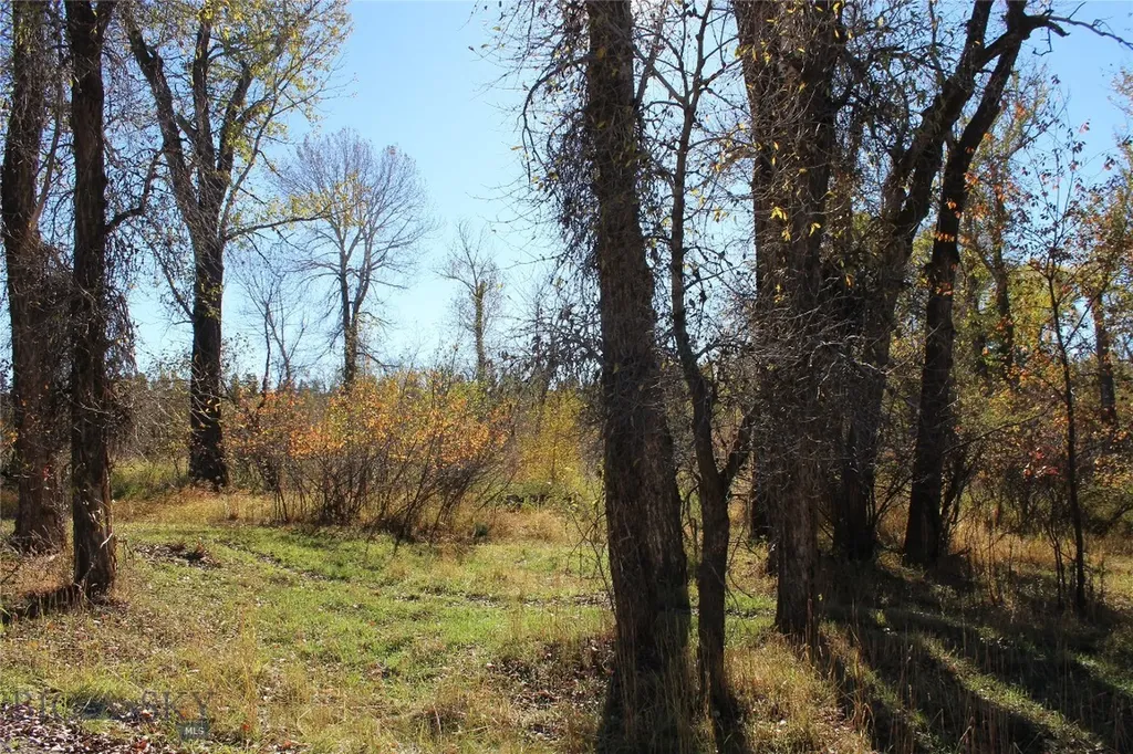 61 Rocky Creek Lane Clyde Park MT 59047
