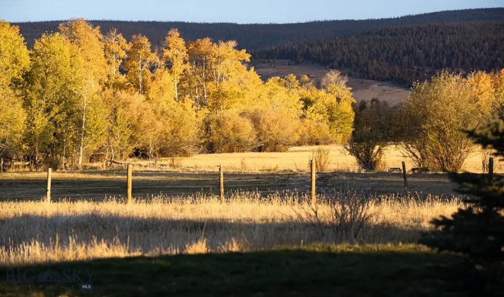 3007 Coyote Creek Dillon MT 59725
