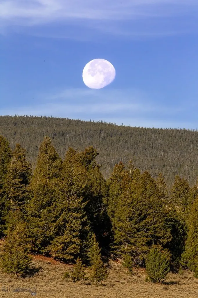 3007 Coyote Creek Dillon MT 59725