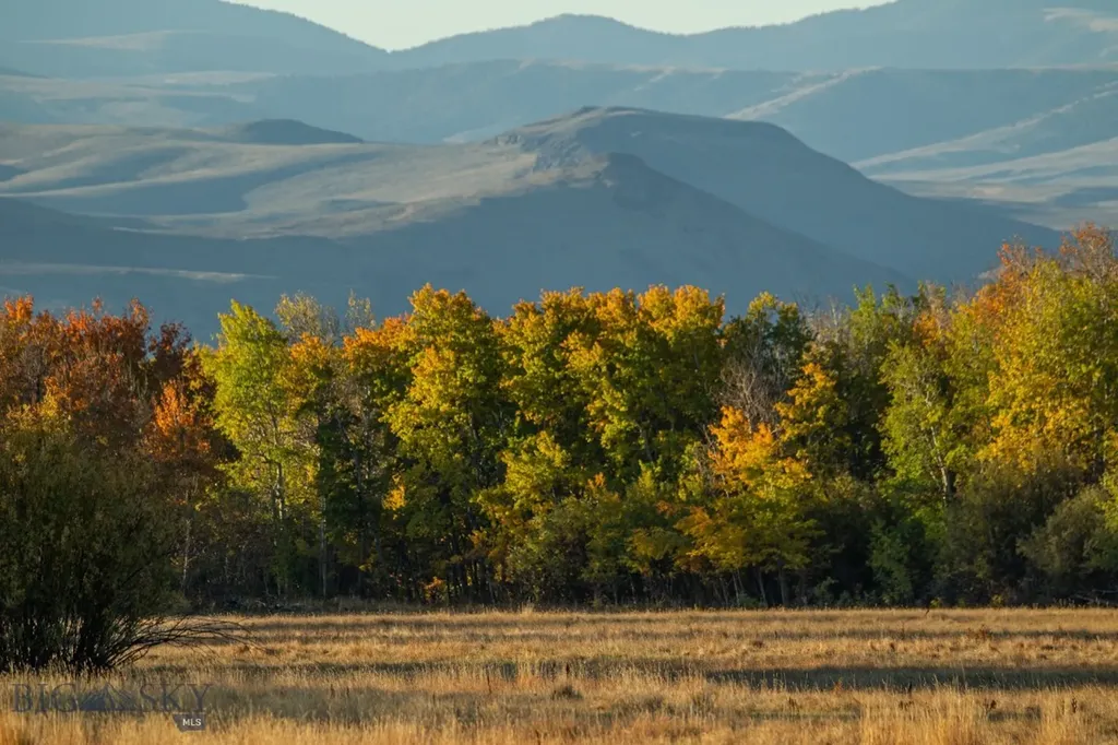 3007 Coyote Creek Dillon MT 59725