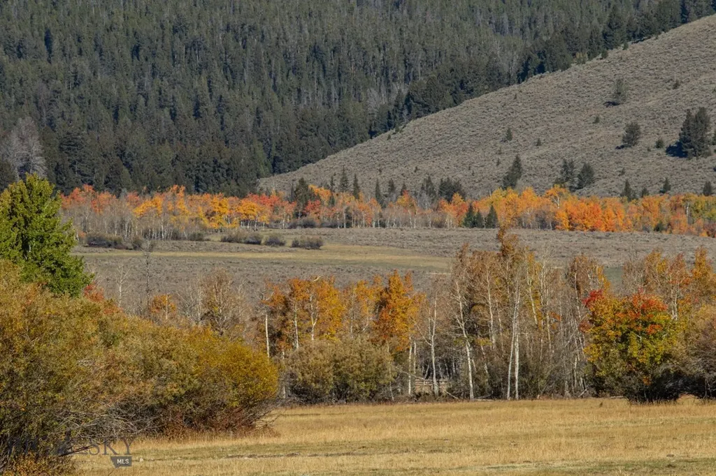 3007 Coyote Creek Dillon MT 59725