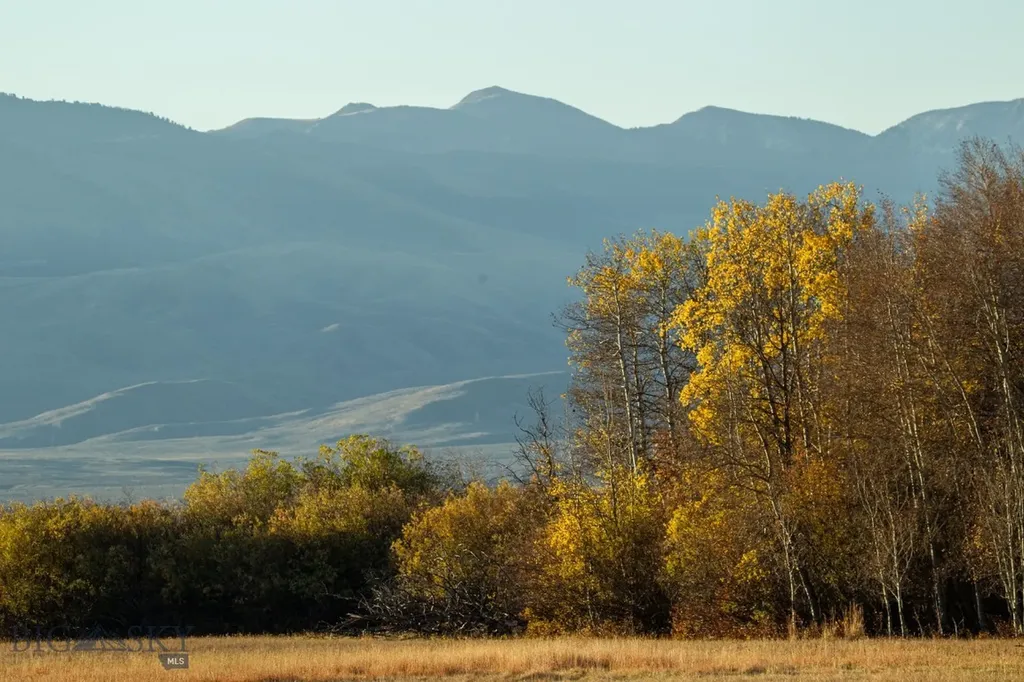 3007 Coyote Creek Dillon MT 59725