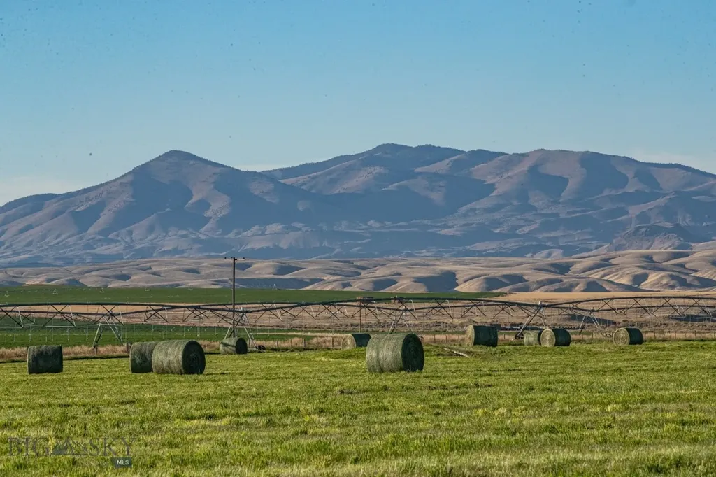 1891 Spring Creek Road Dillon MT 59725