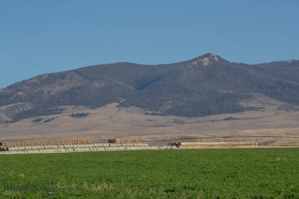 1891 Spring Creek Road Dillon MT 59725
