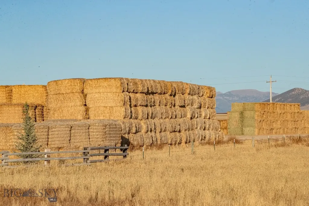 1891 Spring Creek Road Dillon MT 59725