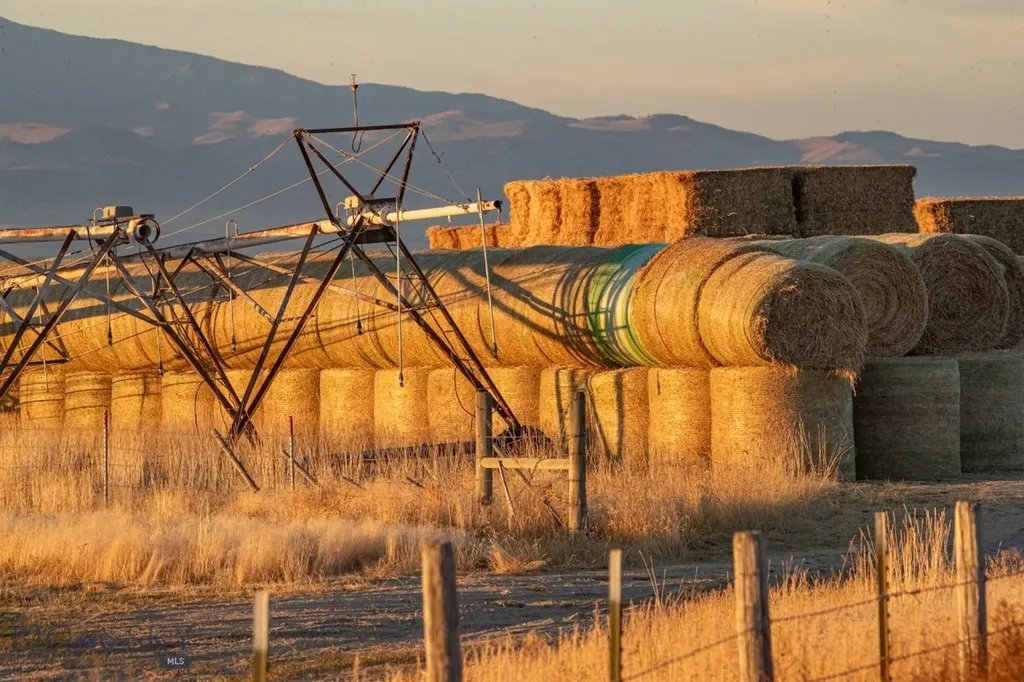 1891 Spring Creek Road Dillon MT 59725