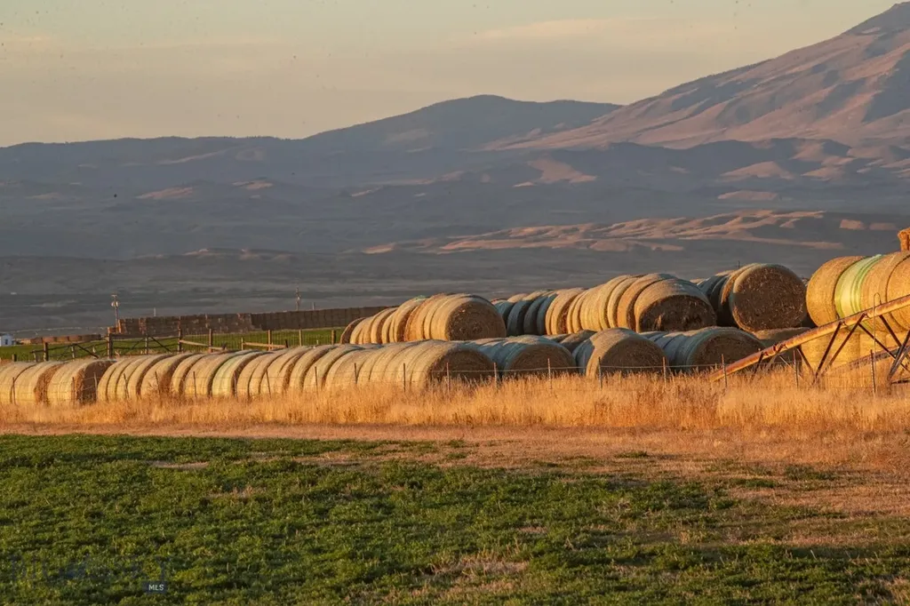 1891 Spring Creek Road Dillon MT 59725