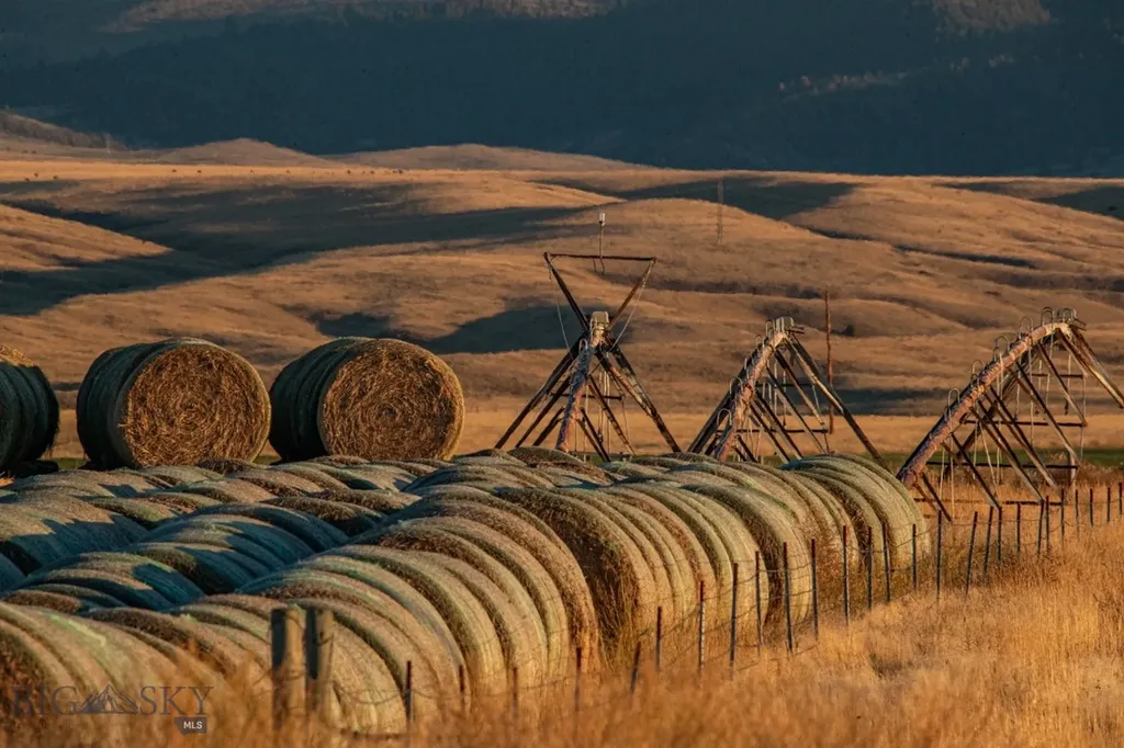 1891 Spring Creek Road Dillon MT 59725