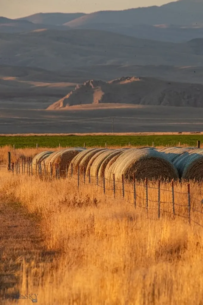 1891 Spring Creek Road Dillon MT 59725