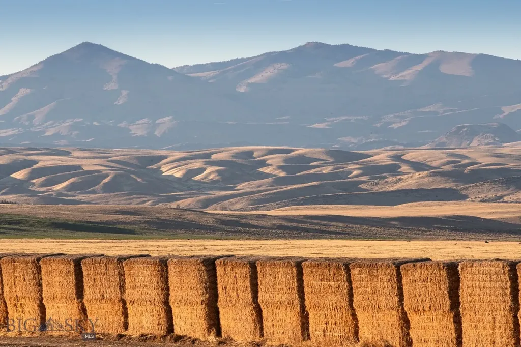 1891 Spring Creek Road Dillon MT 59725