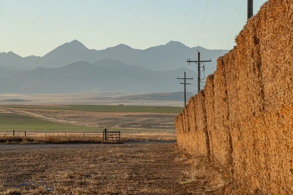1891 Spring Creek Road Dillon MT 59725
