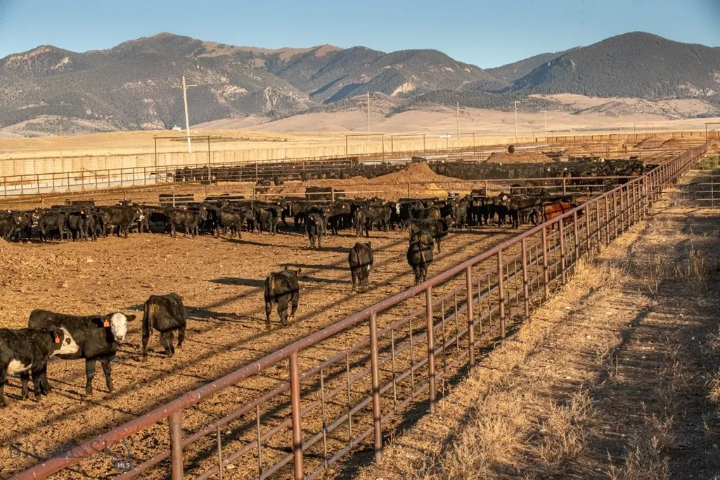 1891 Spring Creek Road Dillon MT 59725