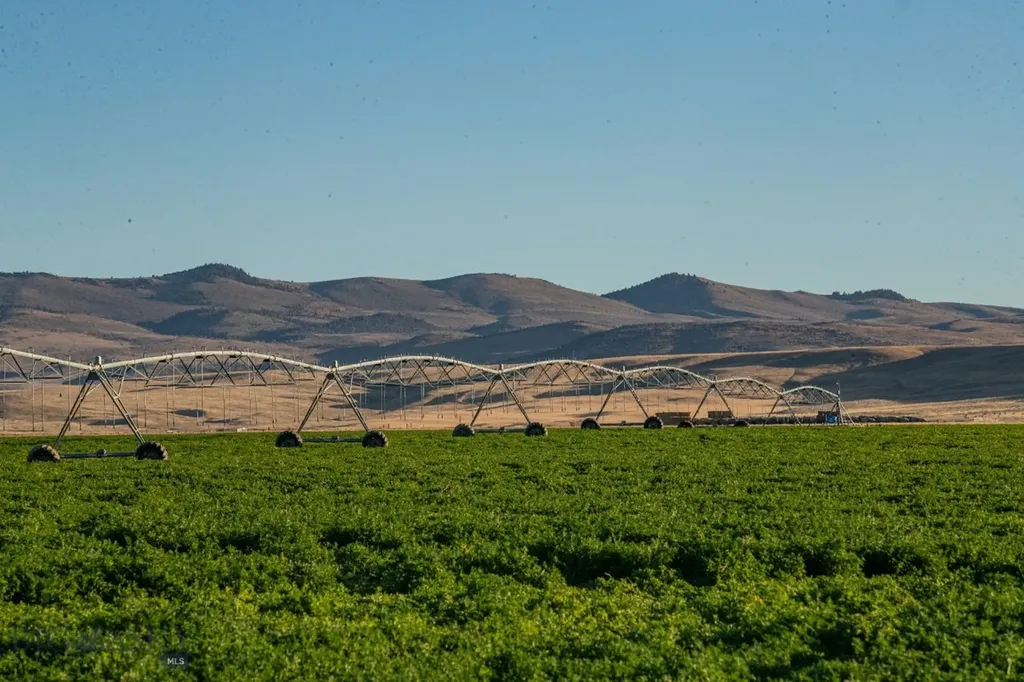 1891 Spring Creek Road Dillon MT 59725