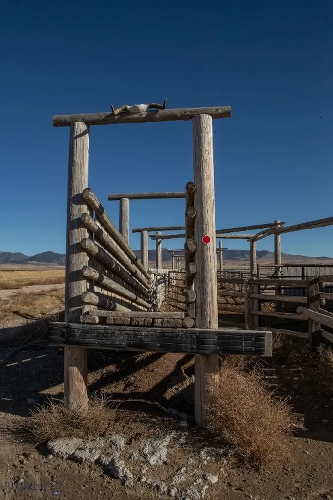 1891 Spring Creek Road Dillon MT 59725