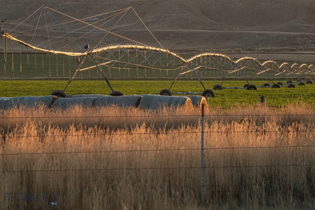 1891 Spring Creek Road Dillon MT 59725