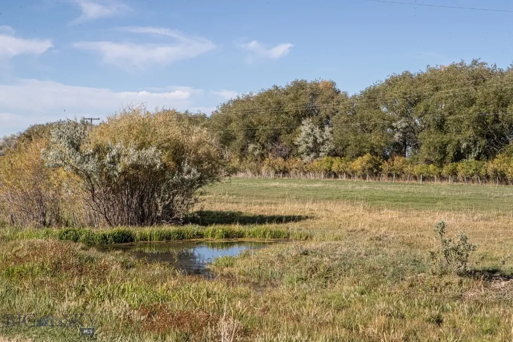1891 Spring Creek Road Dillon MT 59725