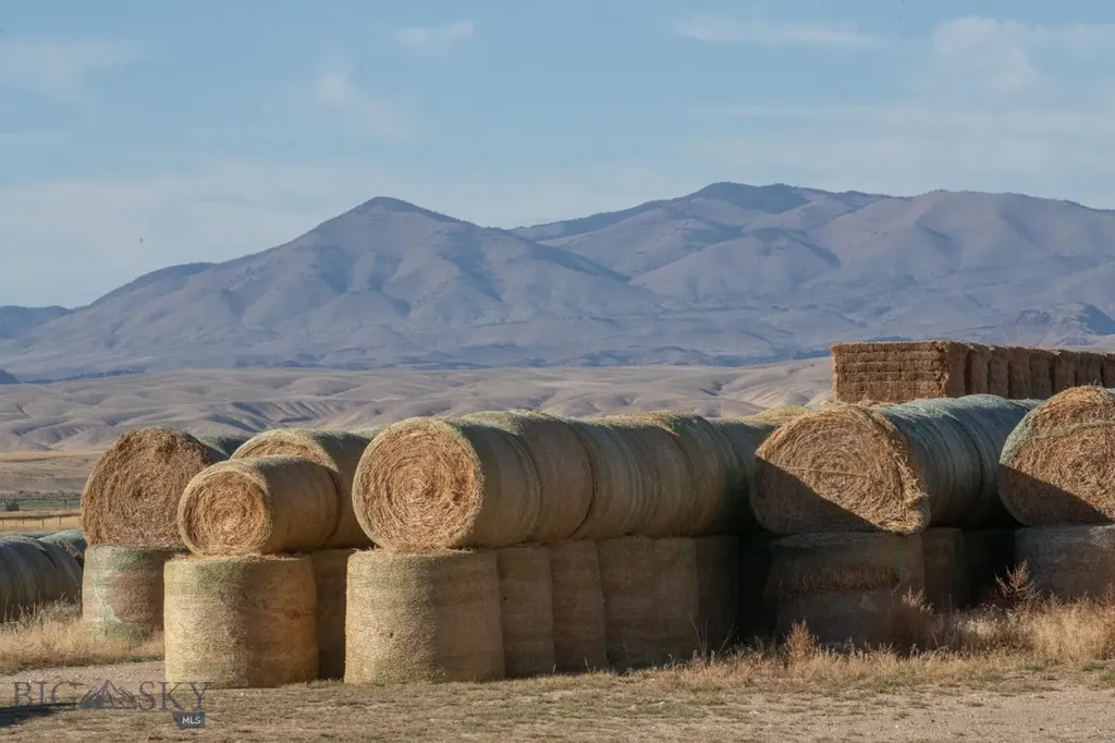 1891 Spring Creek Road Dillon MT 59725
