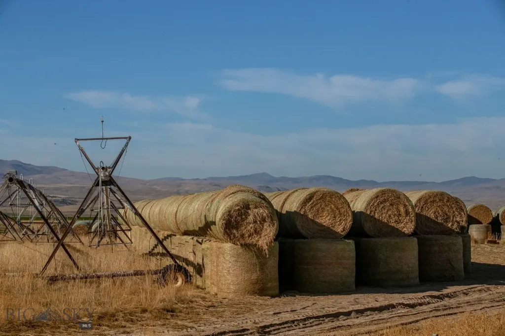 1891 Spring Creek Road Dillon MT 59725