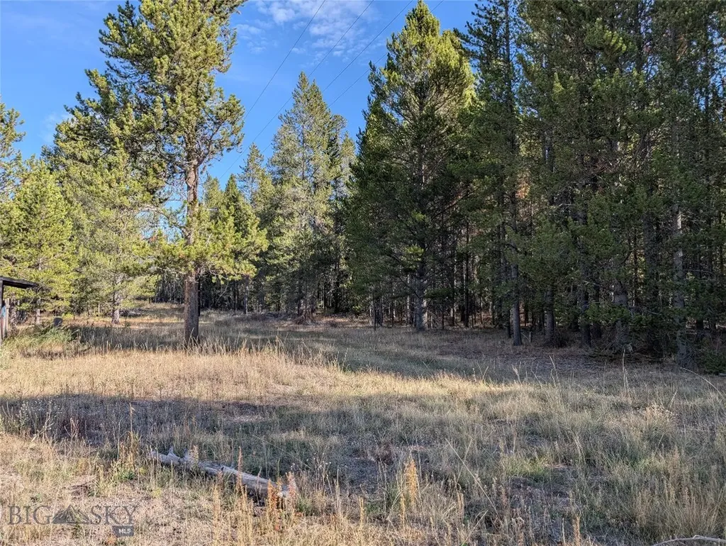 Nhn Valentine Lane West Yellowstone MT 59758