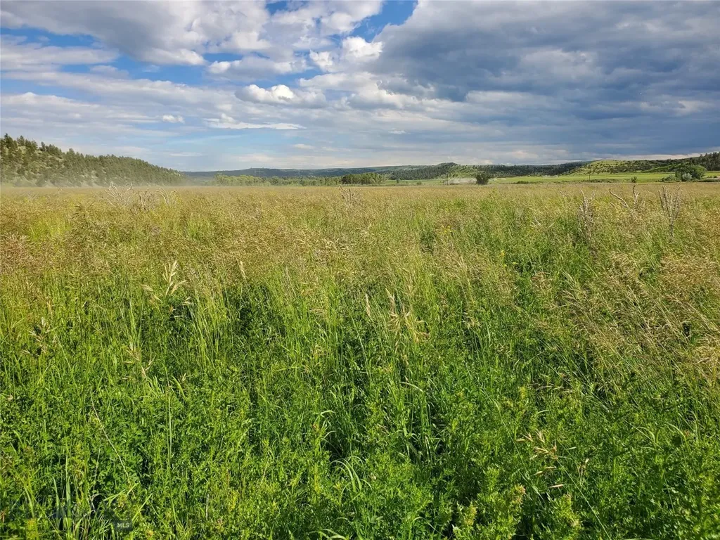 Tbd Frontage Road Reed Point MT 59069