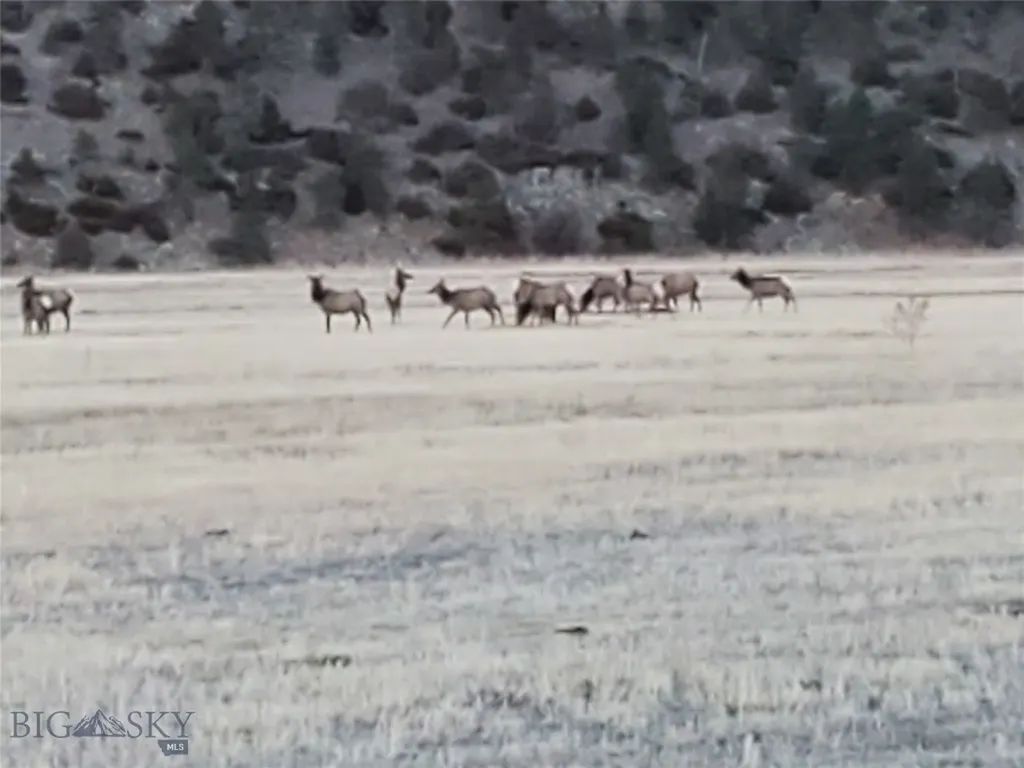 Tbd Frontage Road Reed Point MT 59069