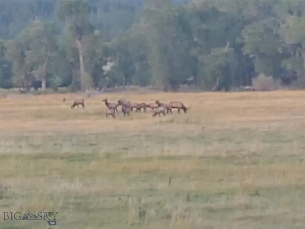 Tbd Frontage Road Reed Point MT 59069