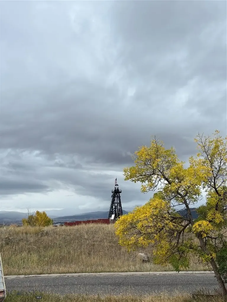 Lot 6b And Lot 8 W Pearl Street Butte MT 59701