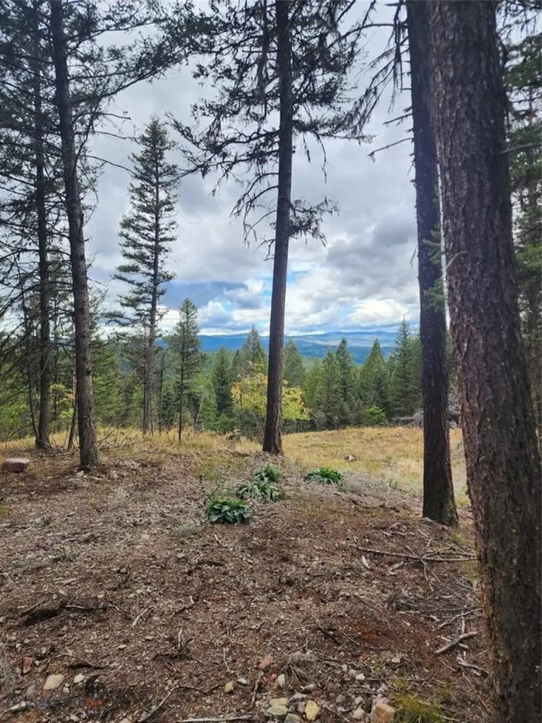 408 Montana View Drive Seeley Lake MT 59868