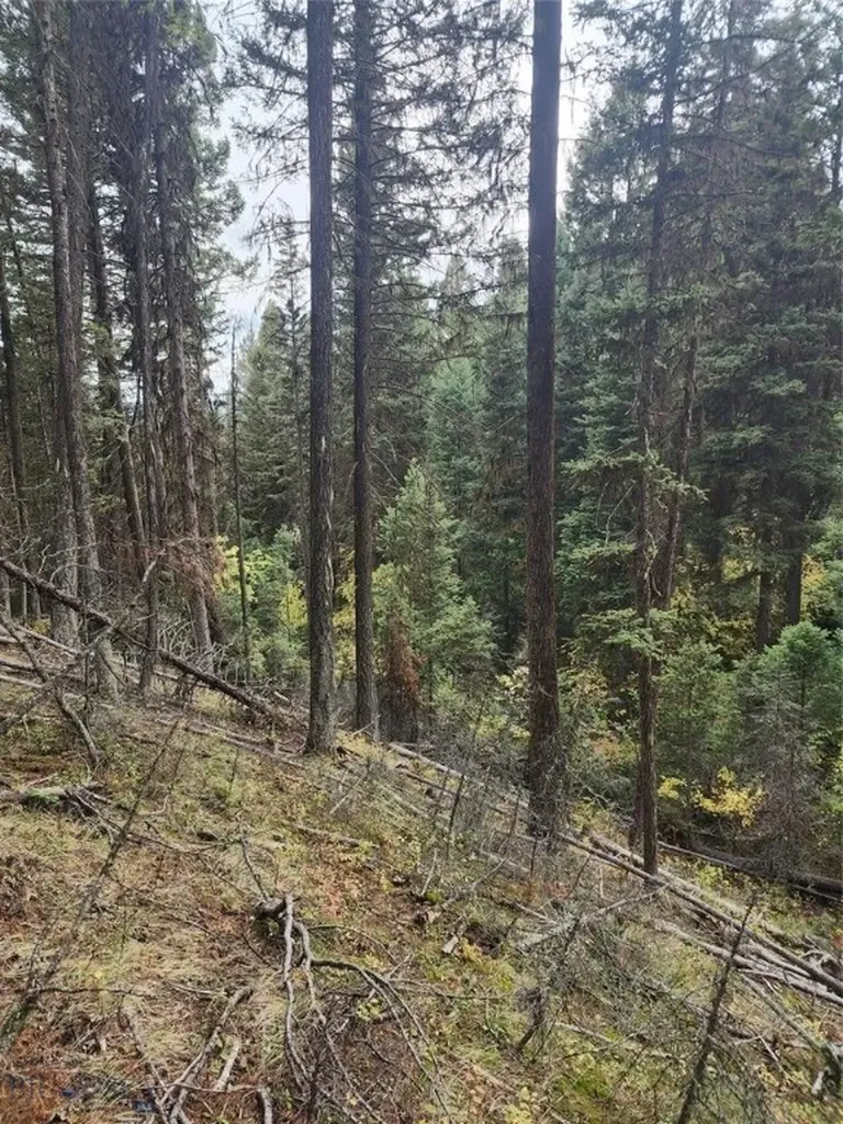 408 Montana View Drive Seeley Lake MT 59868