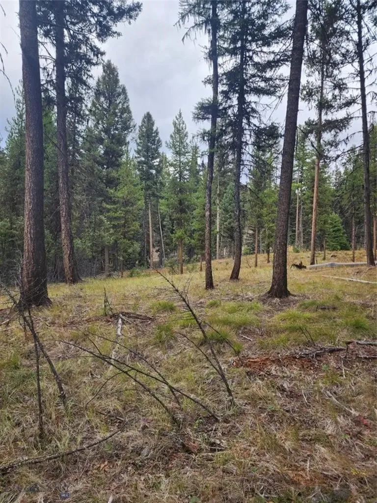 408 Montana View Drive Seeley Lake MT 59868