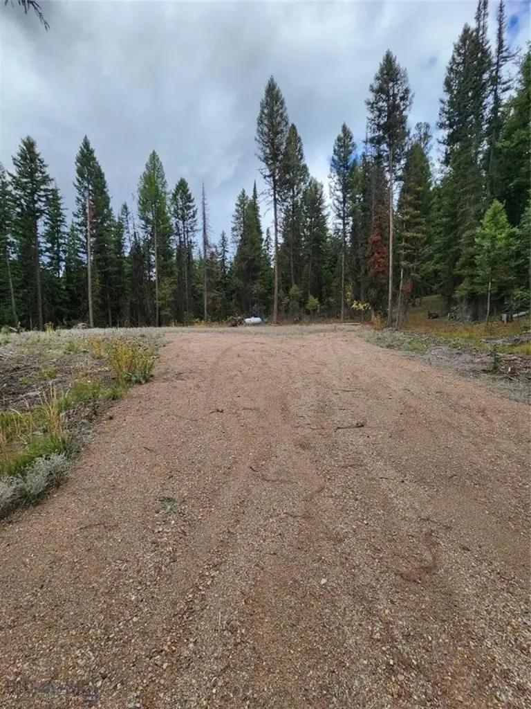 408 Montana View Drive Seeley Lake MT 59868