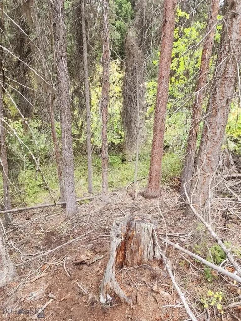 408 Montana View Drive Seeley Lake MT 59868