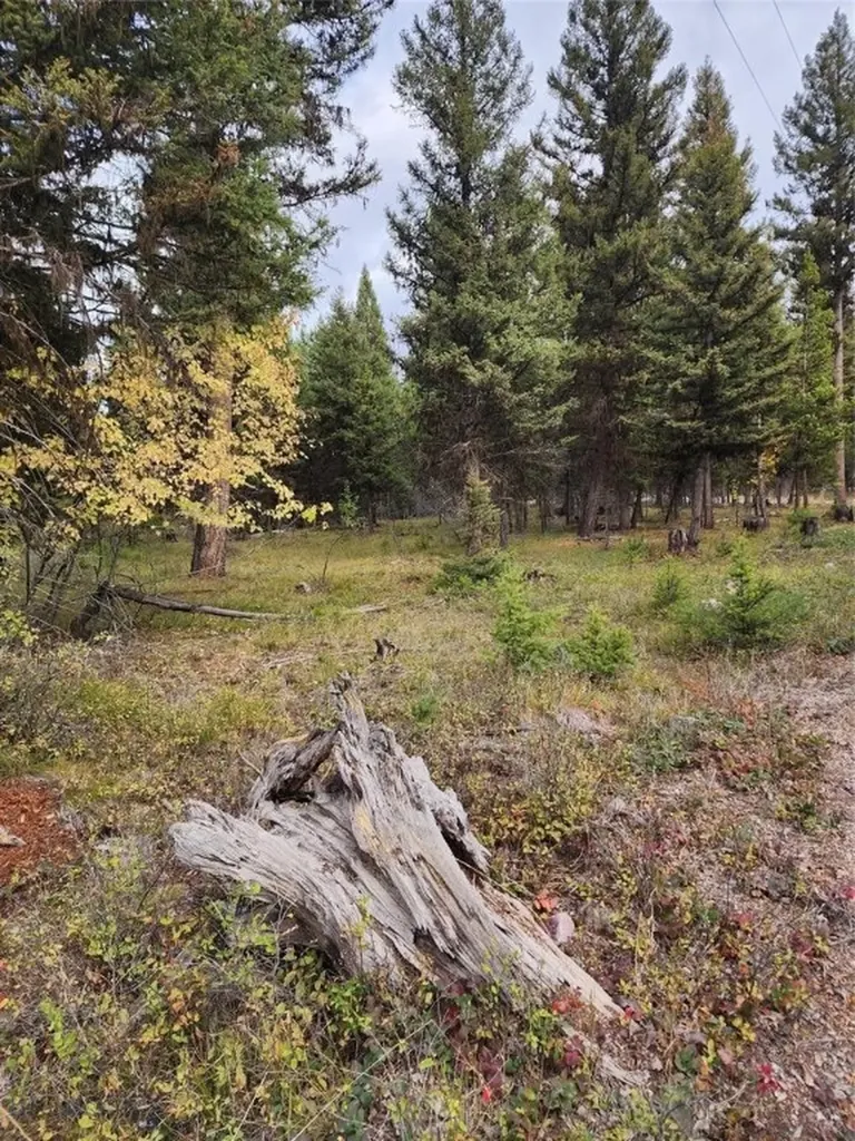 408 Montana View Drive Seeley Lake MT 59868