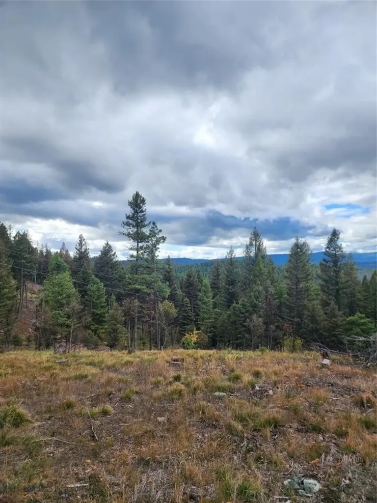 408 Montana View Drive Seeley Lake MT 59868