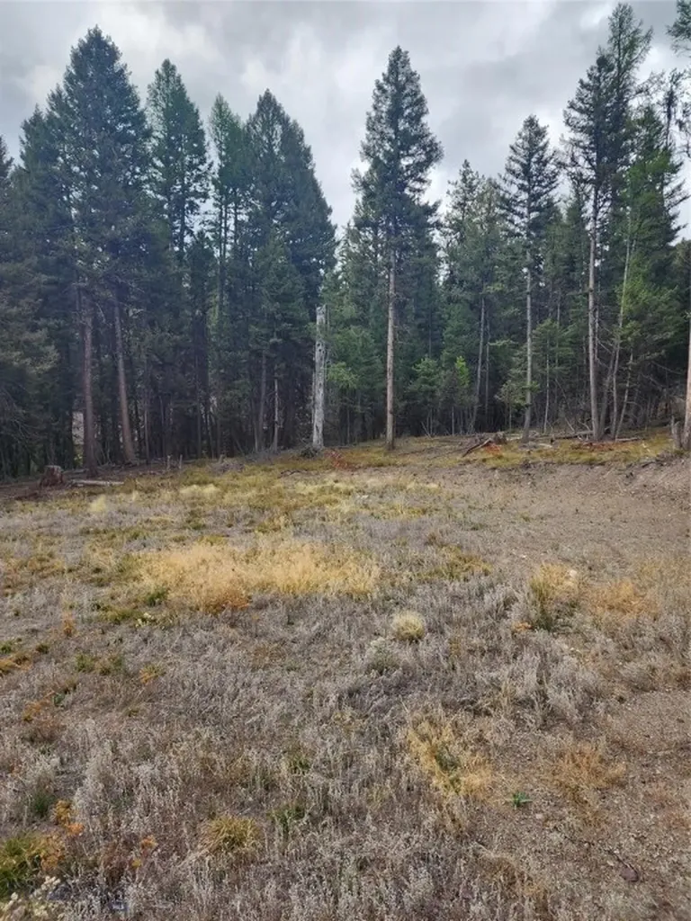 408 Montana View Drive Seeley Lake MT 59868