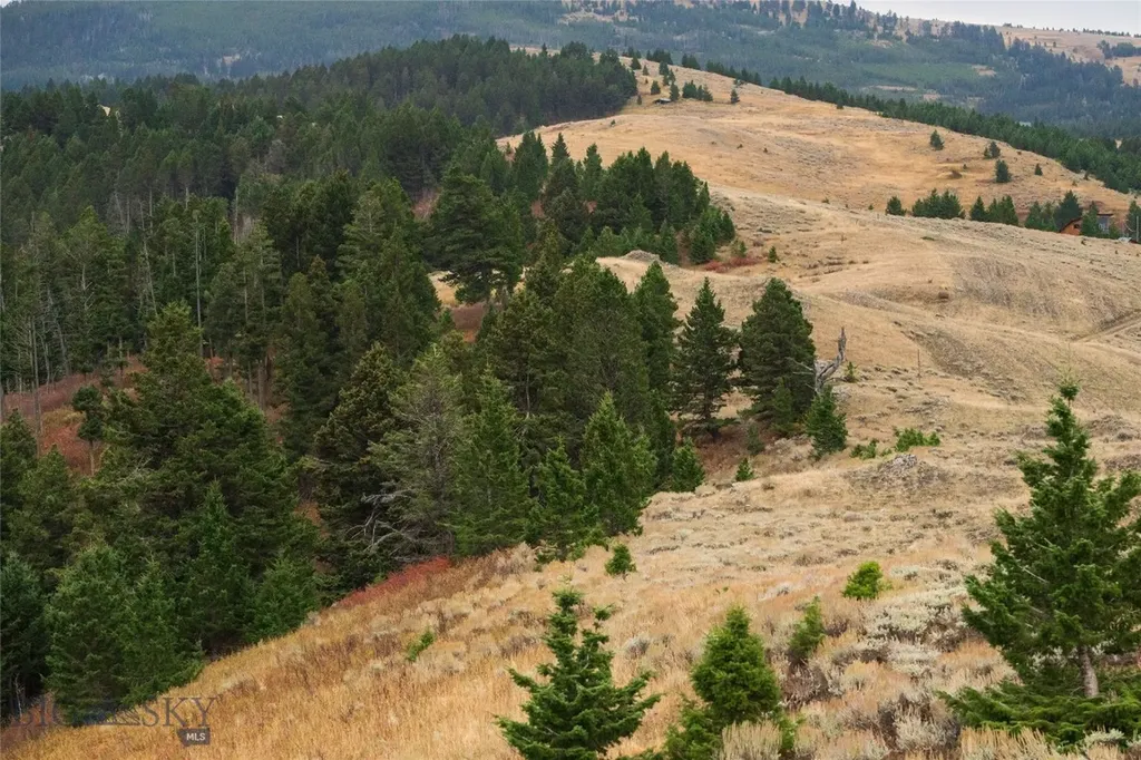 20 Ac Alpine Springs Trail Livingston MT 59047