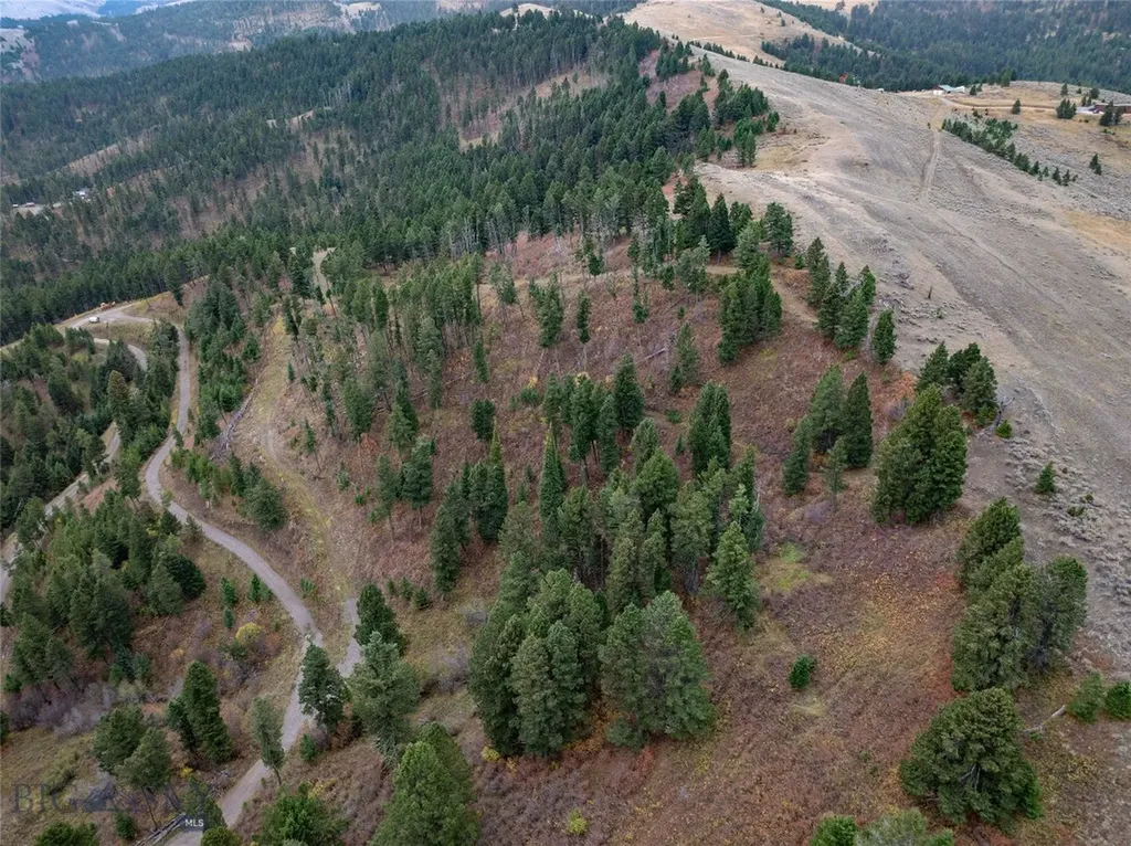 20 Ac Alpine Springs Trail Livingston MT 59047